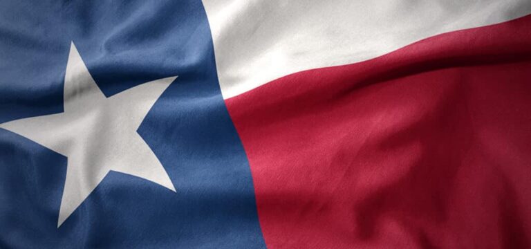 waving colorful flag of texas state